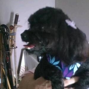 Meet your Posher, Leslie